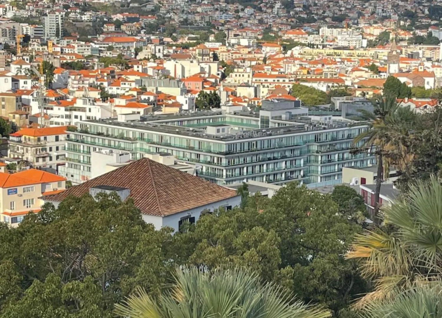 In Town View Apartment Funchal  Funchal (Madeira)