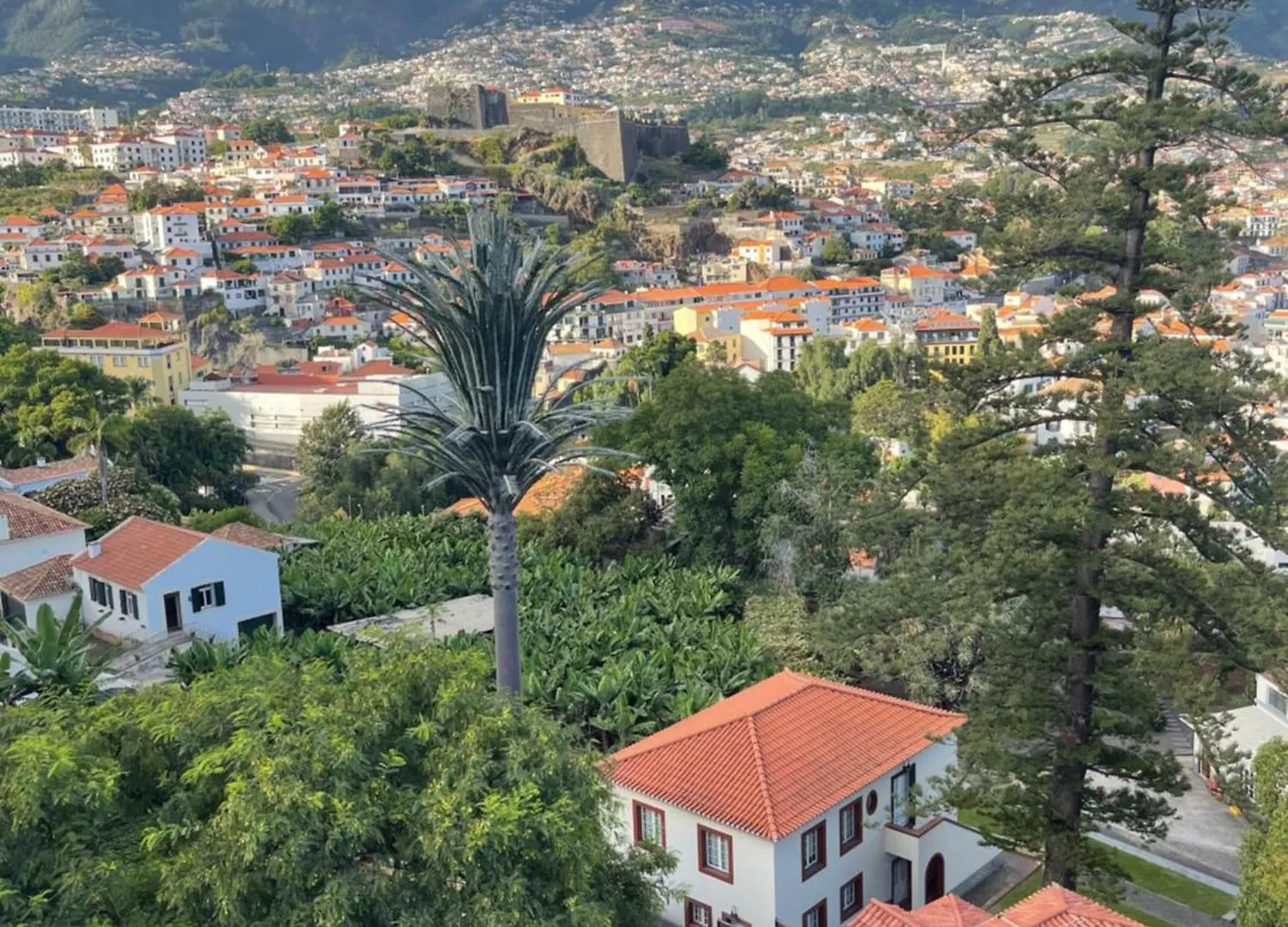 In Town View Apartment Funchal
