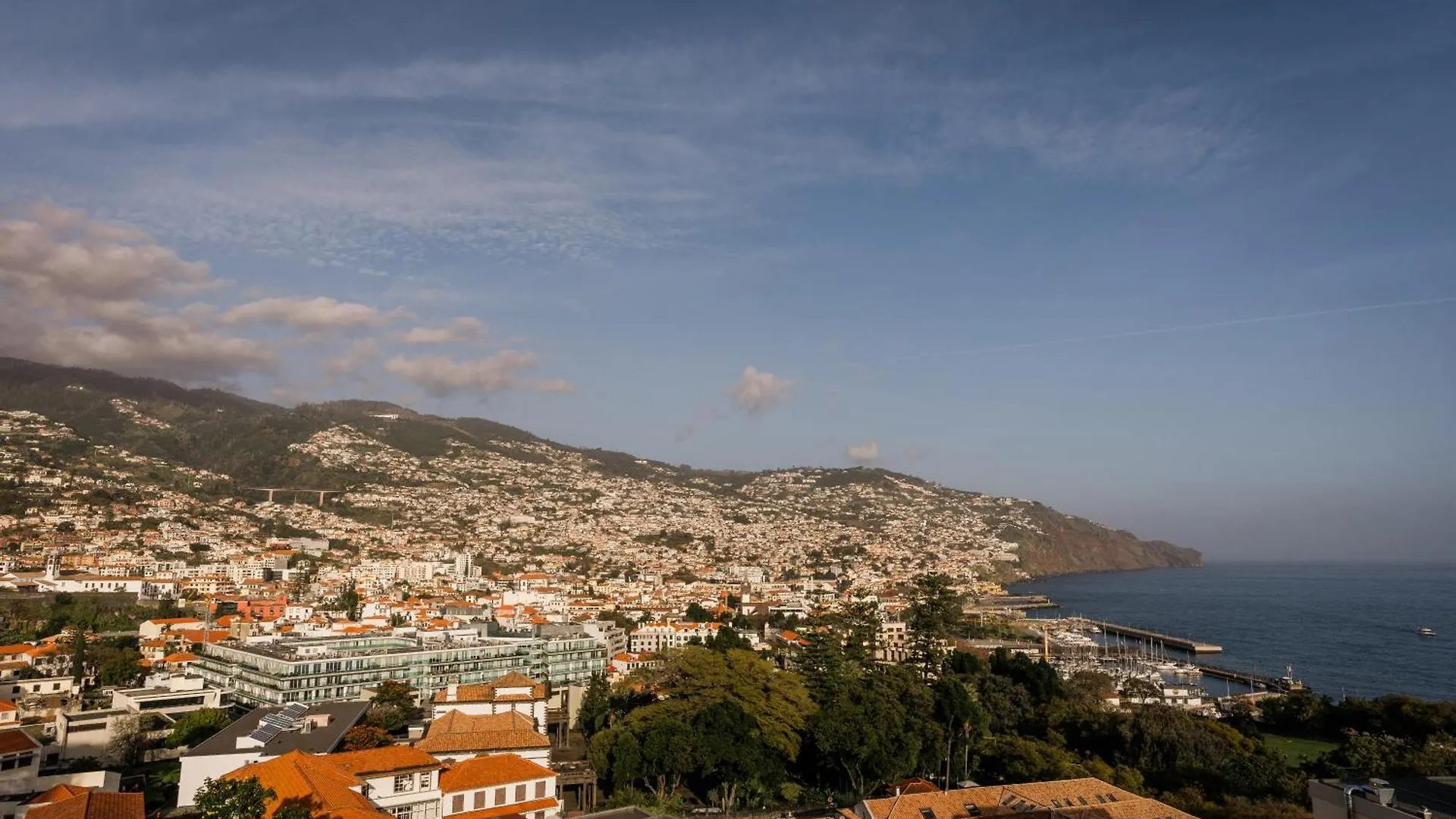 In Town View Apartment Funchal  Portugal