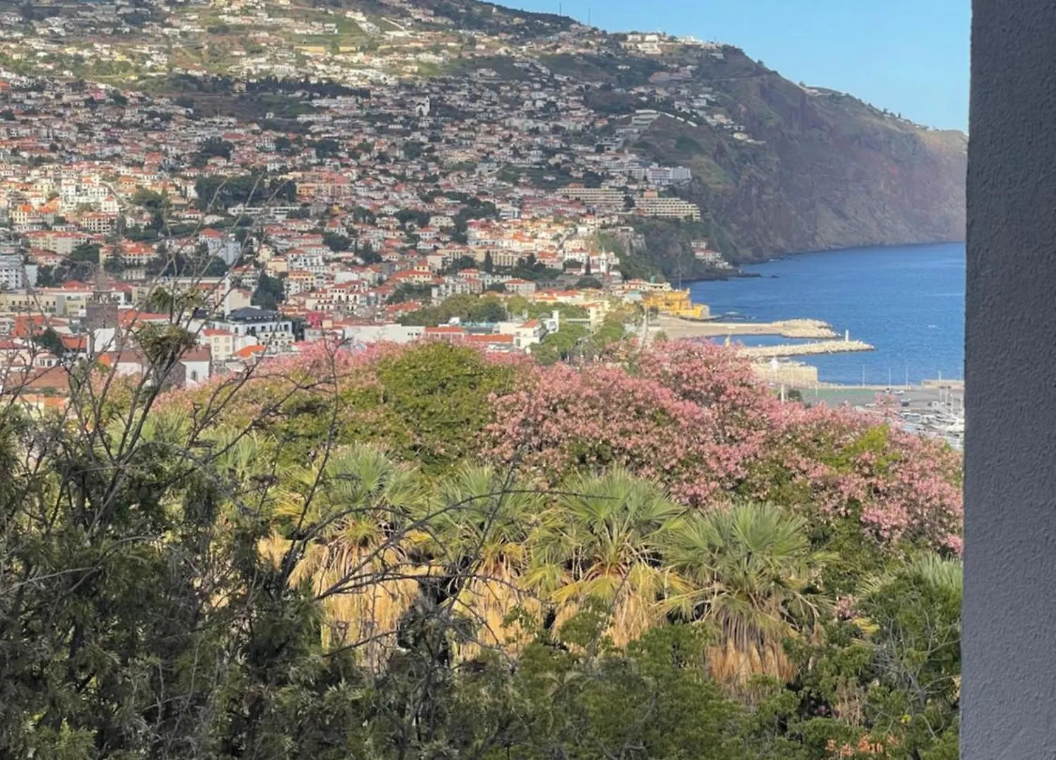 Appartamento In Town View Funchal  0*, Funchal (Madeira) Portogallo